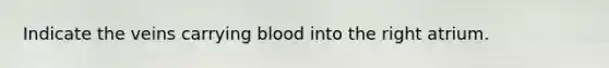 Indicate the veins carrying blood into the right atrium.