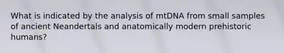 What is indicated by the analysis of mtDNA from small samples of ancient Neandertals and anatomically modern prehistoric humans?