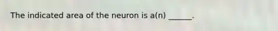 The indicated area of the neuron is a(n) ______.