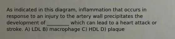 As indicated in this diagram, inflammation that occurs in response to an injury to the artery wall precipitates the development of _________ which can lead to a heart attack or stroke. A) LDL B) macrophage C) HDL D) plaque