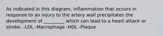 As indicated in this diagram, inflammation that occurs in response to an injury to the artery wall precipitates the development of _________ which can lead to a heart attack or stroke. -LDL -Macrophage -HDL -Plaque