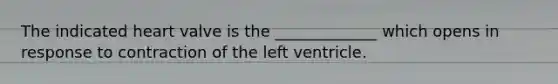 The indicated heart valve is the _____________ which opens in response to contraction of the left ventricle.