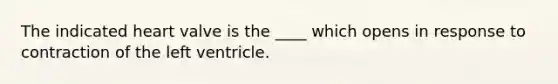 The indicated heart valve is the ____ which opens in response to contraction of the left ventricle.