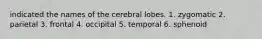 indicated the names of the cerebral lobes. 1. zygomatic 2. parietal 3. frontal 4. occipital 5. temporal 6. sphenoid