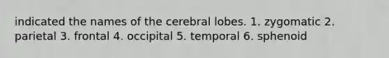 indicated the names of the cerebral lobes. 1. zygomatic 2. parietal 3. frontal 4. occipital 5. temporal 6. sphenoid