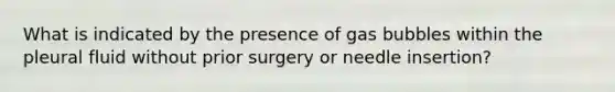 What is indicated by the presence of gas bubbles within the pleural fluid without prior surgery or needle insertion?