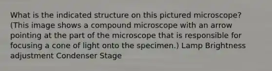 What is the indicated structure on this pictured microscope? (This image shows a compound microscope with an arrow pointing at the part of the microscope that is responsible for focusing a cone of light onto the specimen.) Lamp Brightness adjustment Condenser Stage