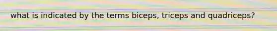 what is indicated by the terms biceps, triceps and quadriceps?