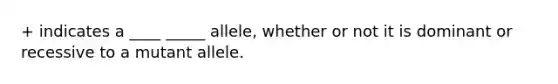 + indicates a ____ _____ allele, whether or not it is dominant or recessive to a mutant allele.