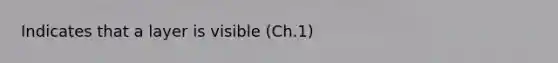 Indicates that a layer is visible (Ch.1)