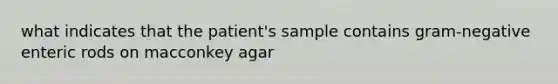 what indicates that the patient's sample contains gram-negative enteric rods on macconkey agar