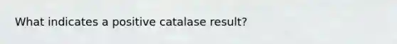 What indicates a positive catalase result?