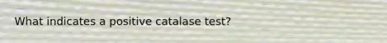 What indicates a positive catalase test?