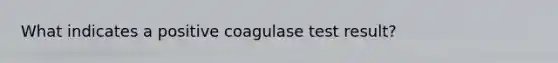 What indicates a positive coagulase test result?