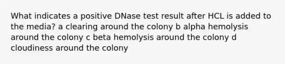 What indicates a positive DNase test result after HCL is added to the media? a clearing around the colony b alpha hemolysis around the colony c beta hemolysis around the colony d cloudiness around the colony