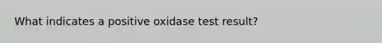 What indicates a positive oxidase test result?