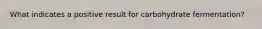 What indicates a positive result for carbohydrate fermentation?