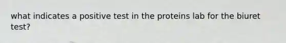 what indicates a positive test in the proteins lab for the biuret test?