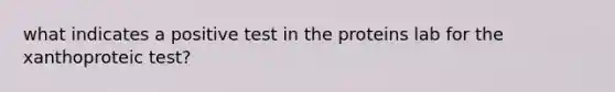 what indicates a positive test in the proteins lab for the xanthoproteic test?