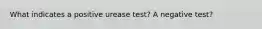 What indicates a positive urease test? A negative test?