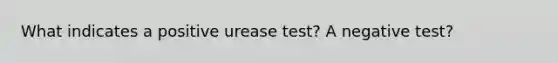 What indicates a positive urease test? A negative test?