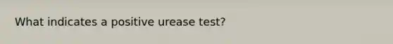 What indicates a positive urease test?