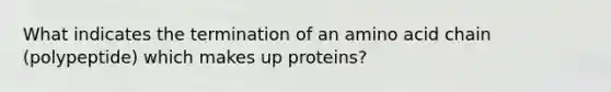 What indicates the termination of an amino acid chain (polypeptide) which makes up proteins?