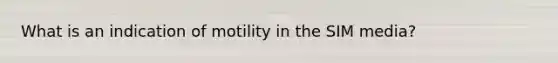 What is an indication of motility in the SIM media?