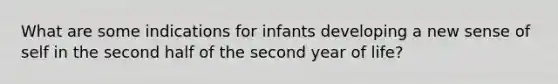 What are some indications for infants developing a new sense of self in the second half of the second year of life?