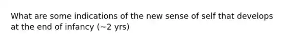 What are some indications of the new sense of self that develops at the end of infancy (~2 yrs)