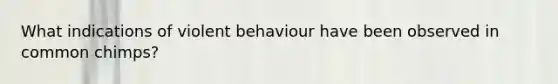 What indications of violent behaviour have been observed in common chimps?