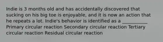 Indie is 3 months old and has accidentally discovered that sucking on his big toe is enjoyable, and it is now an action that he repeats a lot. Indie's behavior is identified as a ___________ Primary circular reaction Secondary circular reaction Tertiary circular reaction Residual circular reaction