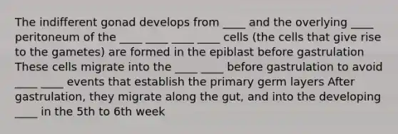 The indifferent gonad develops from ____ and the overlying ____ peritoneum of the ____ ____ ____ ____ cells (the cells that give rise to the gametes) are formed in the epiblast before gastrulation These cells migrate into the ____ ____ before gastrulation to avoid ____ ____ events that establish the primary germ layers After gastrulation, they migrate along the gut, and into the developing ____ in the 5th to 6th week