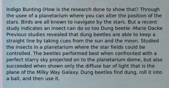Indigo Bunting (How is the research done to show that? Through the usee of a planetarium where you can alter the position of the stars. Birds are all known to navigate by the stars. But a recent study indicates an insect can do so too Dung beetle -Marie Dacke Previous studies revealed that dung beetles are able to keep a straight line by taking cues from the sun and the moon. Studied the insects in a planetarium where the star fields could be controlled. The beetles performed best when confronted with a perfect starry sky projected on to the planetarium dome, but also succeeded when shown only the diffuse bar of light that is the plane of the Milky Way Galaxy. Dung beetles find dung, roll it into a ball, and then use it.