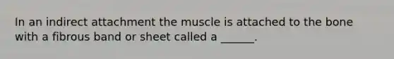 In an indirect attachment the muscle is attached to the bone with a fibrous band or sheet called a ______.