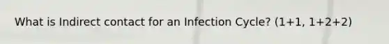 What is Indirect contact for an Infection Cycle? (1+1, 1+2+2)