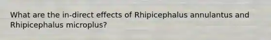 What are the in-direct effects of Rhipicephalus annulantus and Rhipicephalus microplus?