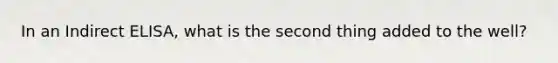 In an Indirect ELISA, what is the second thing added to the well?