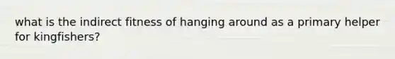 what is the indirect fitness of hanging around as a primary helper for kingfishers?