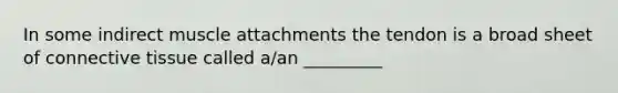 In some indirect muscle attachments the tendon is a broad sheet of connective tissue called a/an _________