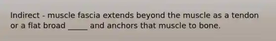 Indirect - muscle fascia extends beyond the muscle as a tendon or a flat broad _____ and anchors that muscle to bone.