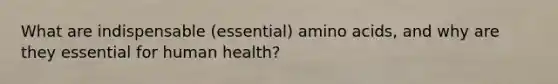 What are indispensable (essential) <a href='https://www.questionai.com/knowledge/k9gb720LCl-amino-acids' class='anchor-knowledge'>amino acids</a>, and why are they essential for human health?