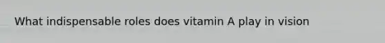 What indispensable roles does vitamin A play in vision