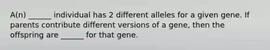 A(n) ______ individual has 2 different alleles for a given gene. If parents contribute different versions of a gene, then the offspring are ______ for that gene.