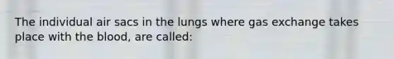 The individual air sacs in the lungs where gas exchange takes place with the blood, are called: