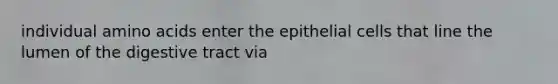 individual amino acids enter the epithelial cells that line the lumen of the digestive tract via