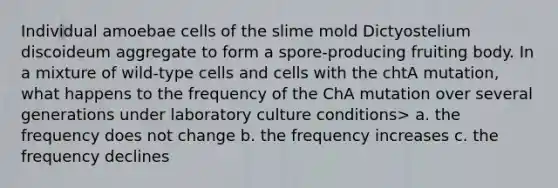 Individual amoebae cells of the slime mold Dictyostelium discoideum aggregate to form a spore-producing fruiting body. In a mixture of wild-type cells and cells with the chtA mutation, what happens to the frequency of the ChA mutation over several generations under laboratory culture conditions> a. the frequency does not change b. the frequency increases c. the frequency declines