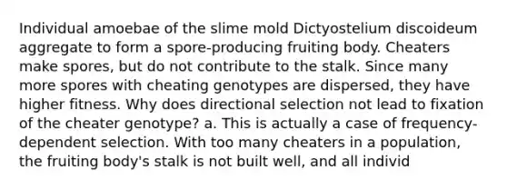 Individual amoebae of the slime mold Dictyostelium discoideum aggregate to form a spore-producing fruiting body. Cheaters make spores, but do not contribute to the stalk. Since many more spores with cheating genotypes are dispersed, they have higher fitness. Why does directional selection not lead to fixation of the cheater genotype? a. This is actually a case of frequency-dependent selection. With too many cheaters in a population, the fruiting body's stalk is not built well, and all individ