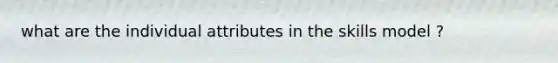 what are the individual attributes in the skills model ?