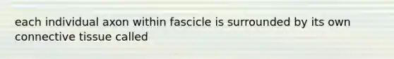 each individual axon within fascicle is surrounded by its own connective tissue called